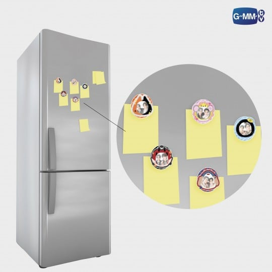 GeminiFourth Photoframe MagSafe Griptok