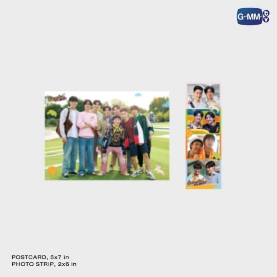 Boys in Love First Edition Novel