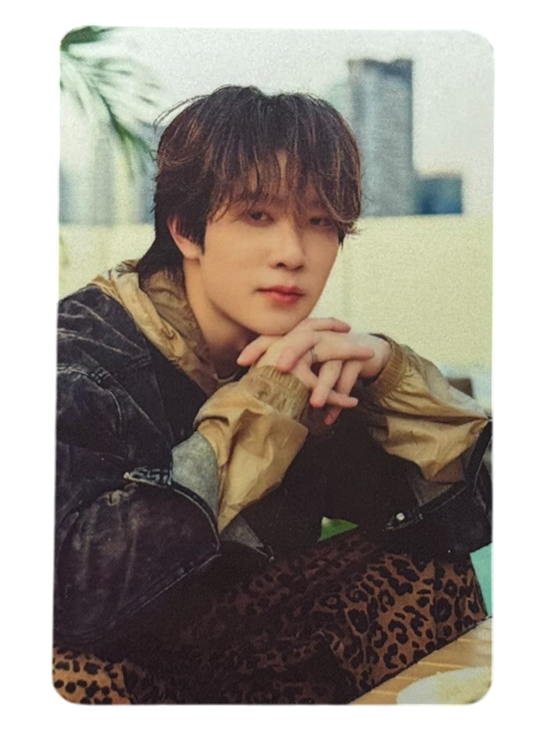 Yim Dexx Next Status Photocard