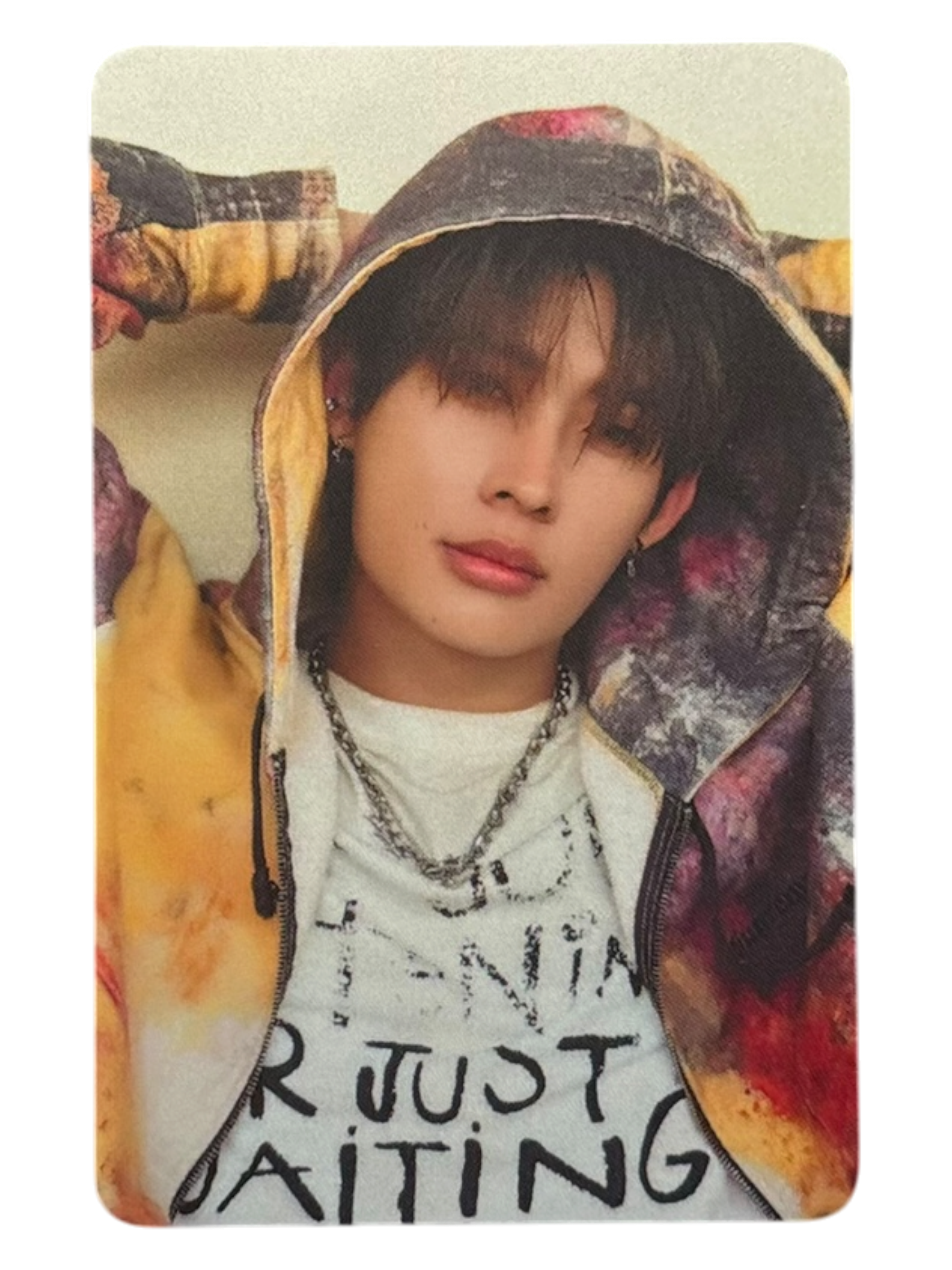 Tutor Dexx Next Status Photocard