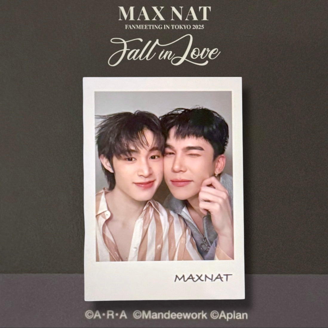 MaxNat Falling in Love Photocard