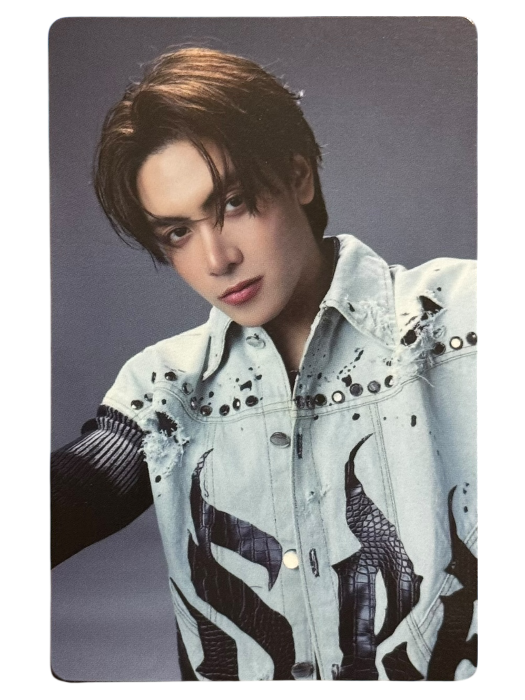 Jasper – PondPhuwinUSA