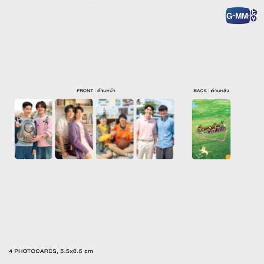 Boys in Love First Edition Novel