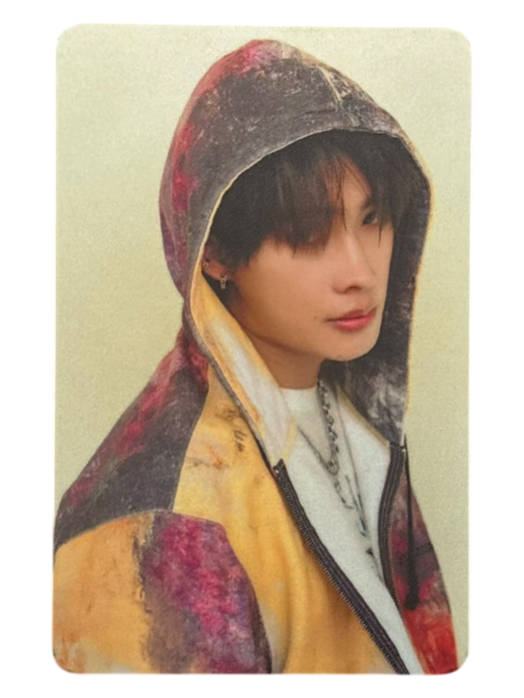 Tutor Dexx Next Status Photocard