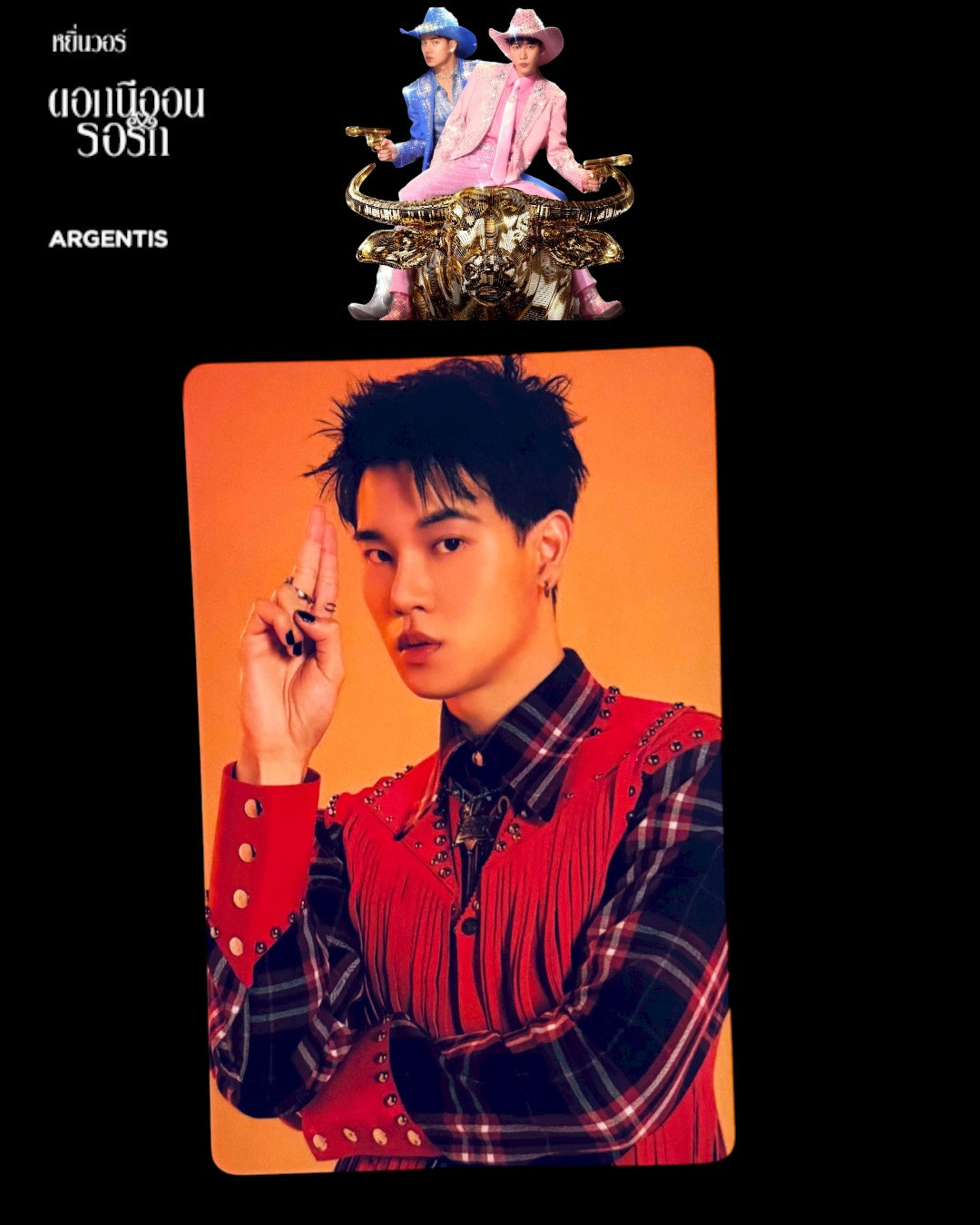 Yin 2025 Concert Photocard