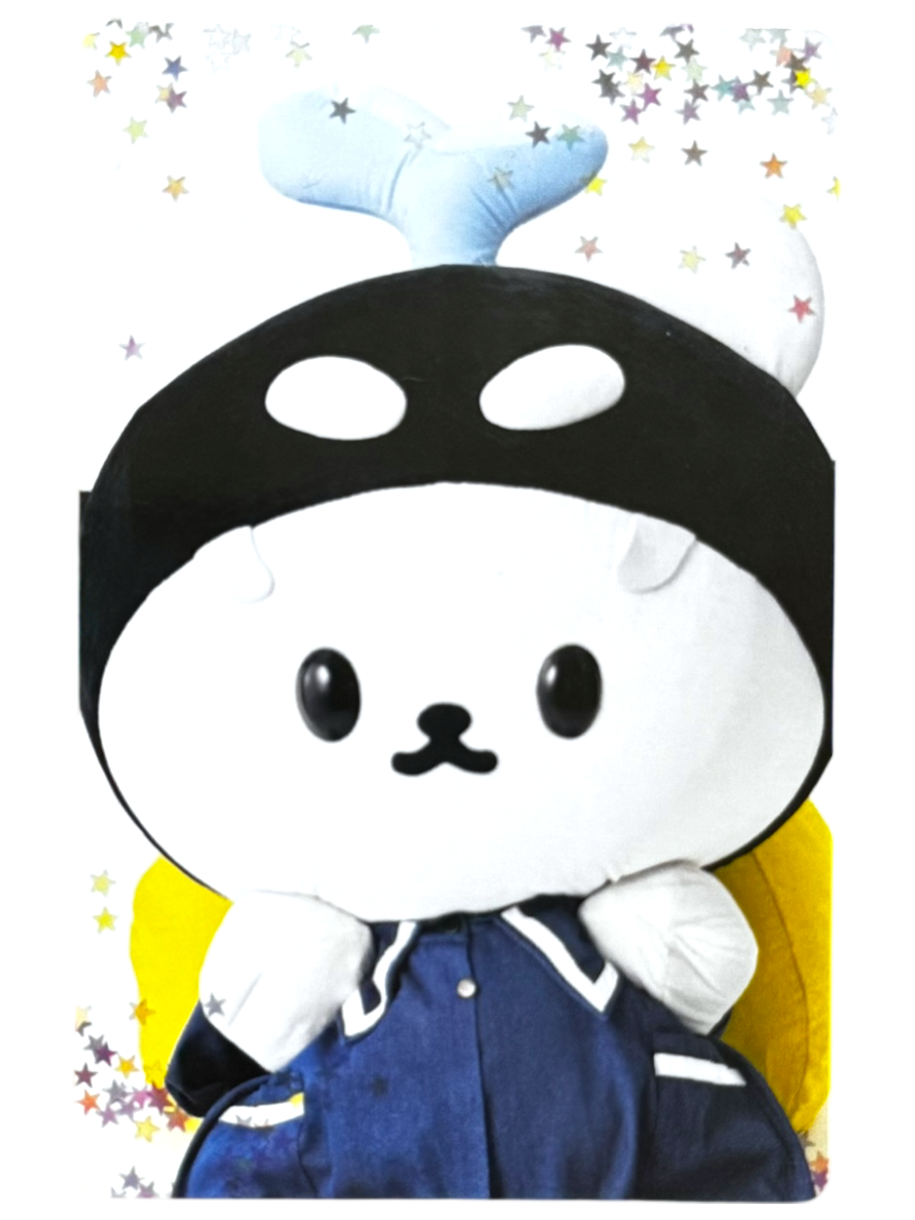 Polcasan Polca Fam Meeting Photocard