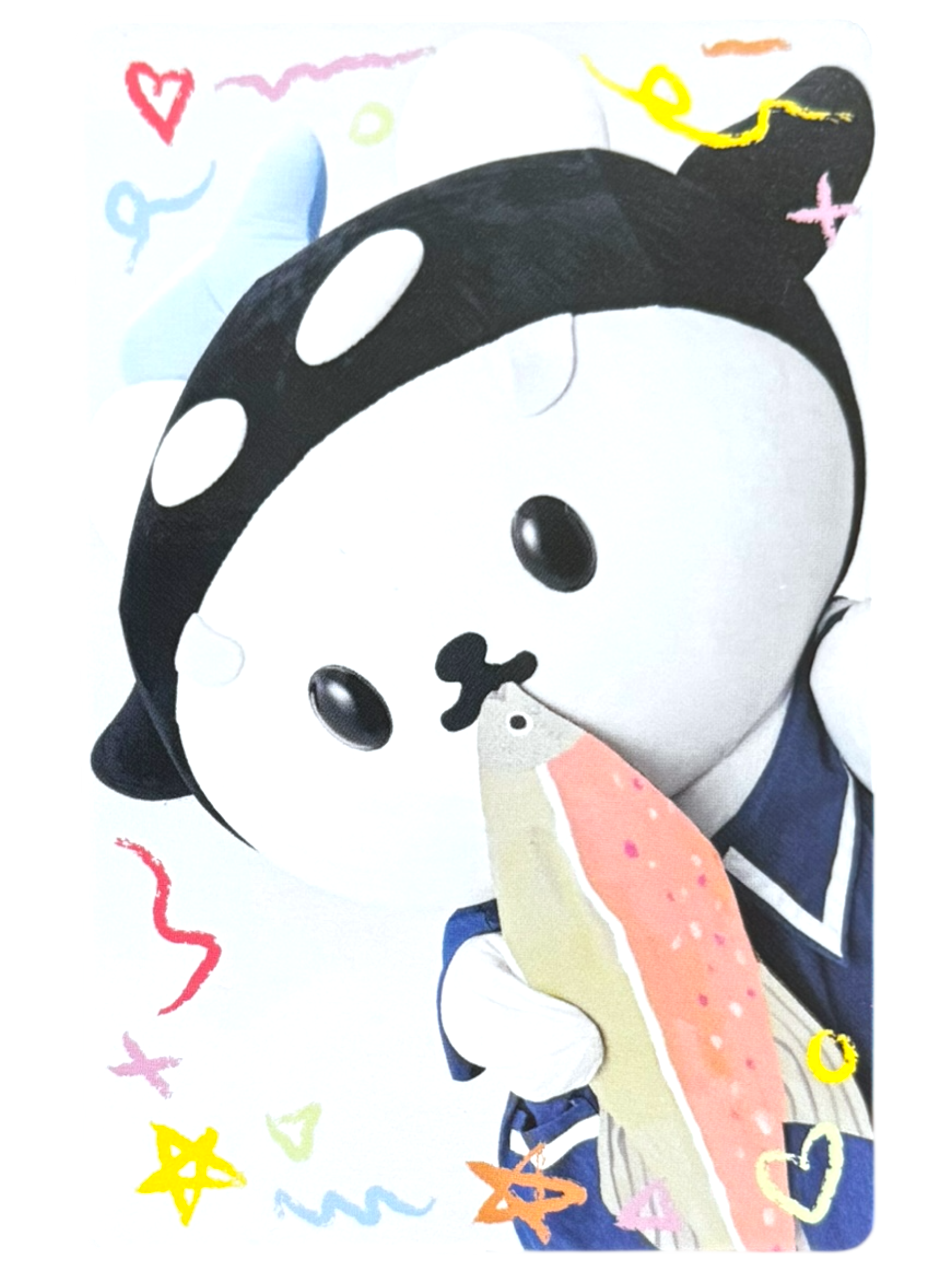 Polcasan Polca Fam Meeting Photocard