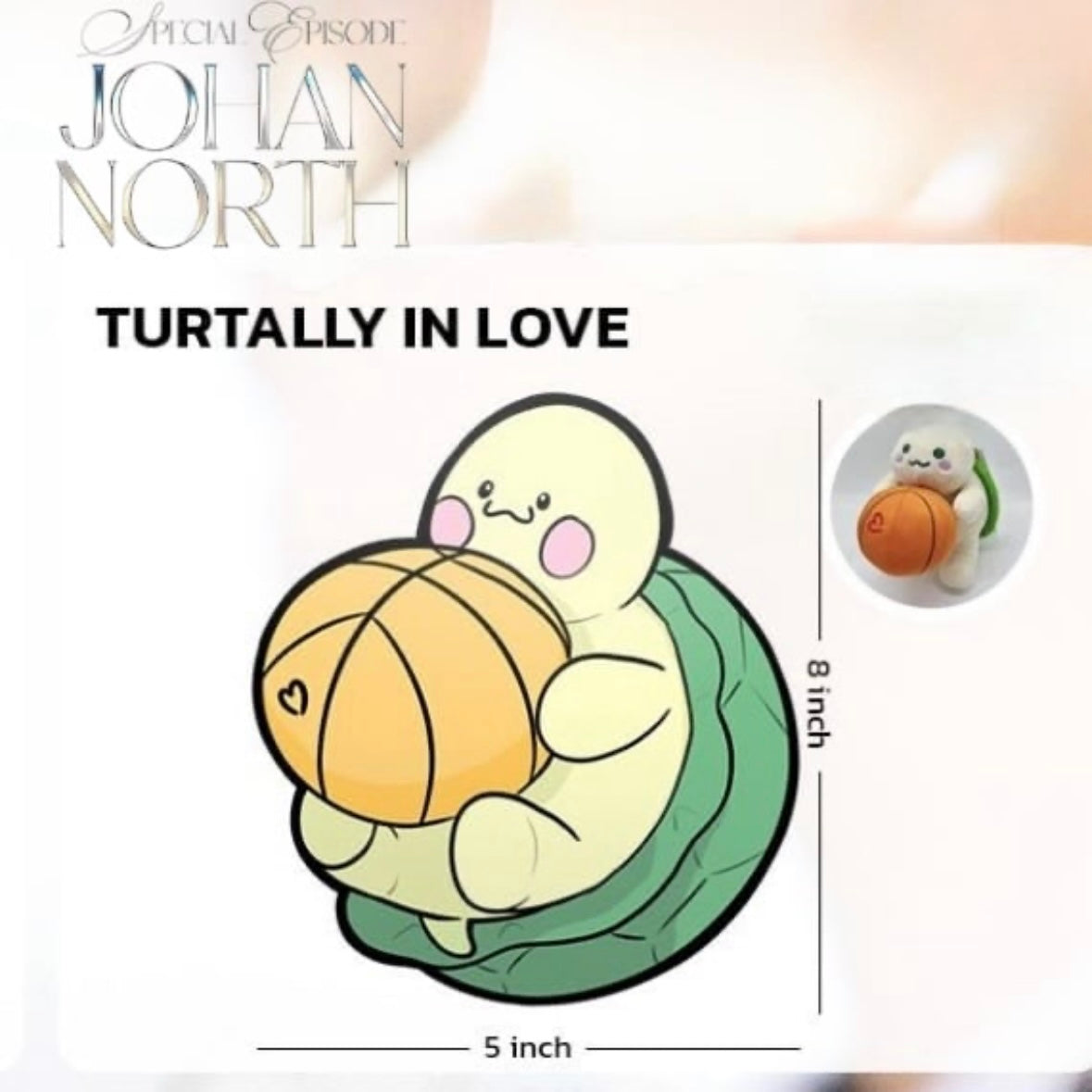 MaxkyBas JohanNorth Special
Turtle Plush