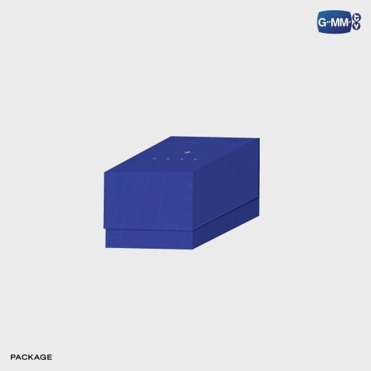 Thapfah Inthu Promise Ring My Magic Prophecy